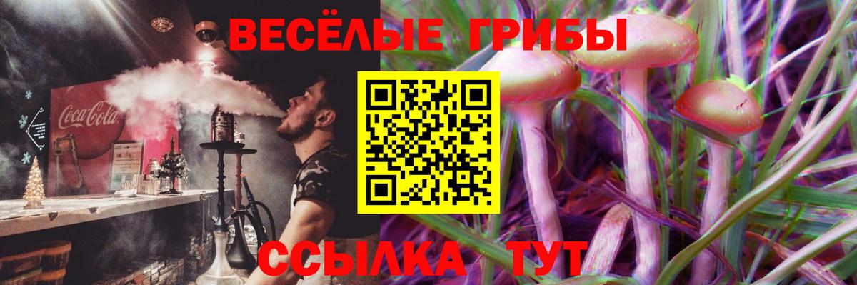 Псилоцибиновые грибы мицелий  Вход с VPN  цены   Заречный 